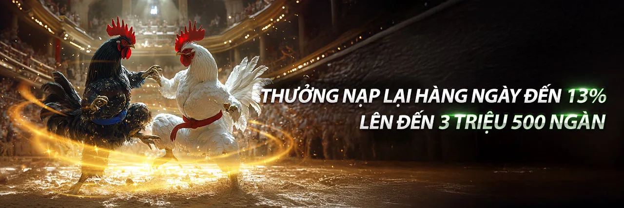 Đá Gà Trực Tuyến 999ok